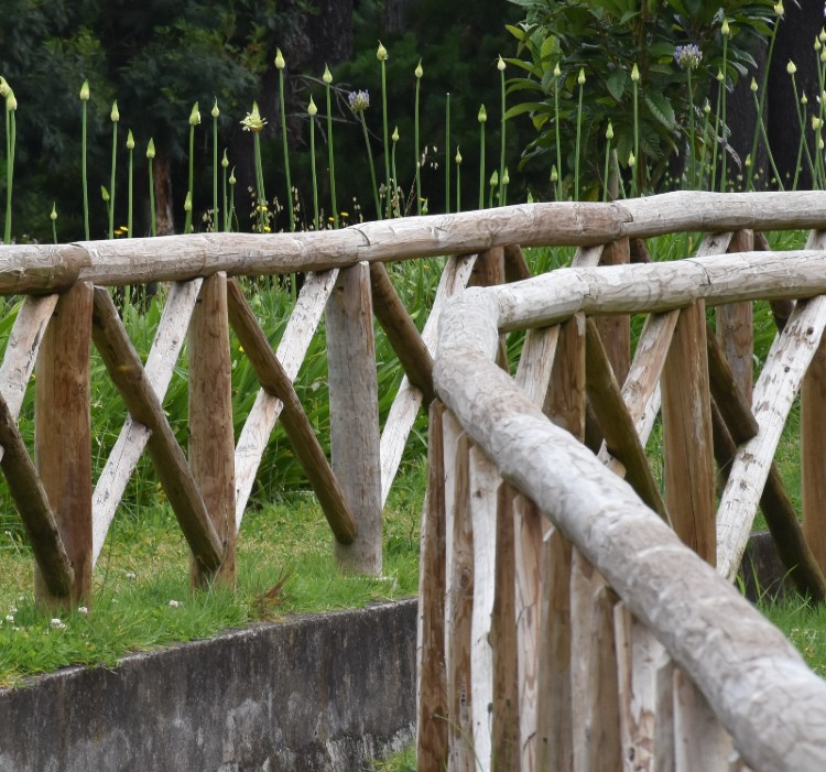 Freguesia_do_Porto_Moniz