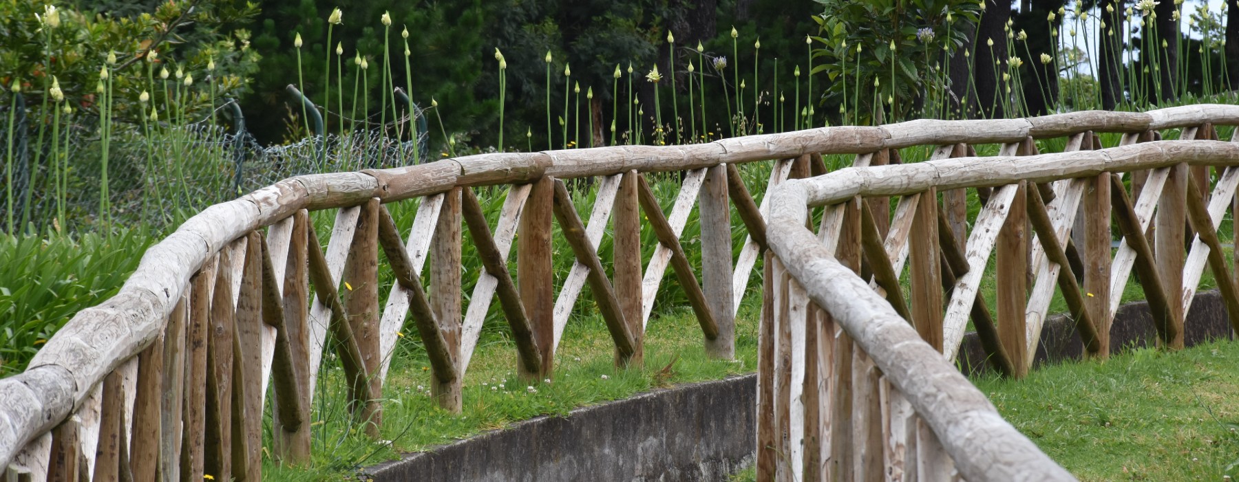 Freguesia_do_Porto_Moniz