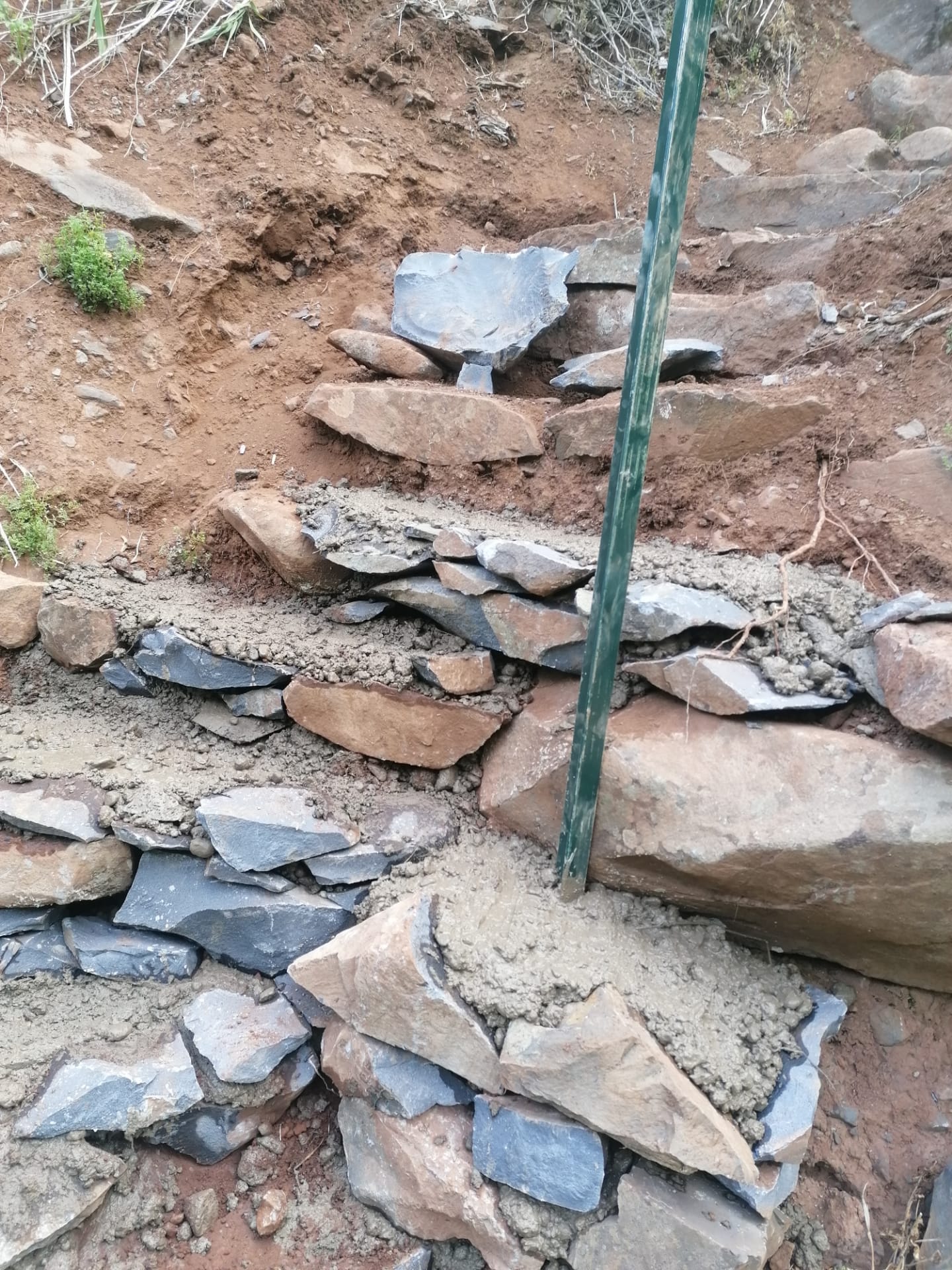 recuperacao-de-um-troco-da-vereda-da-ladeira