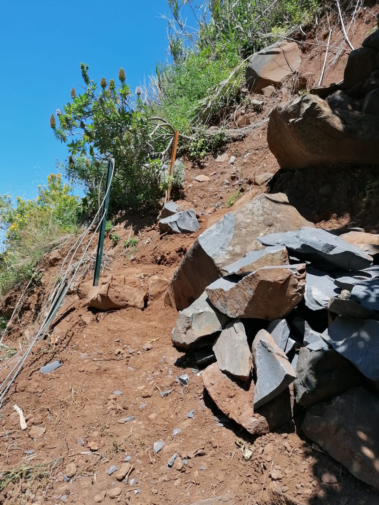 recuperacao-de-um-troco-da-vereda-da-ladeira