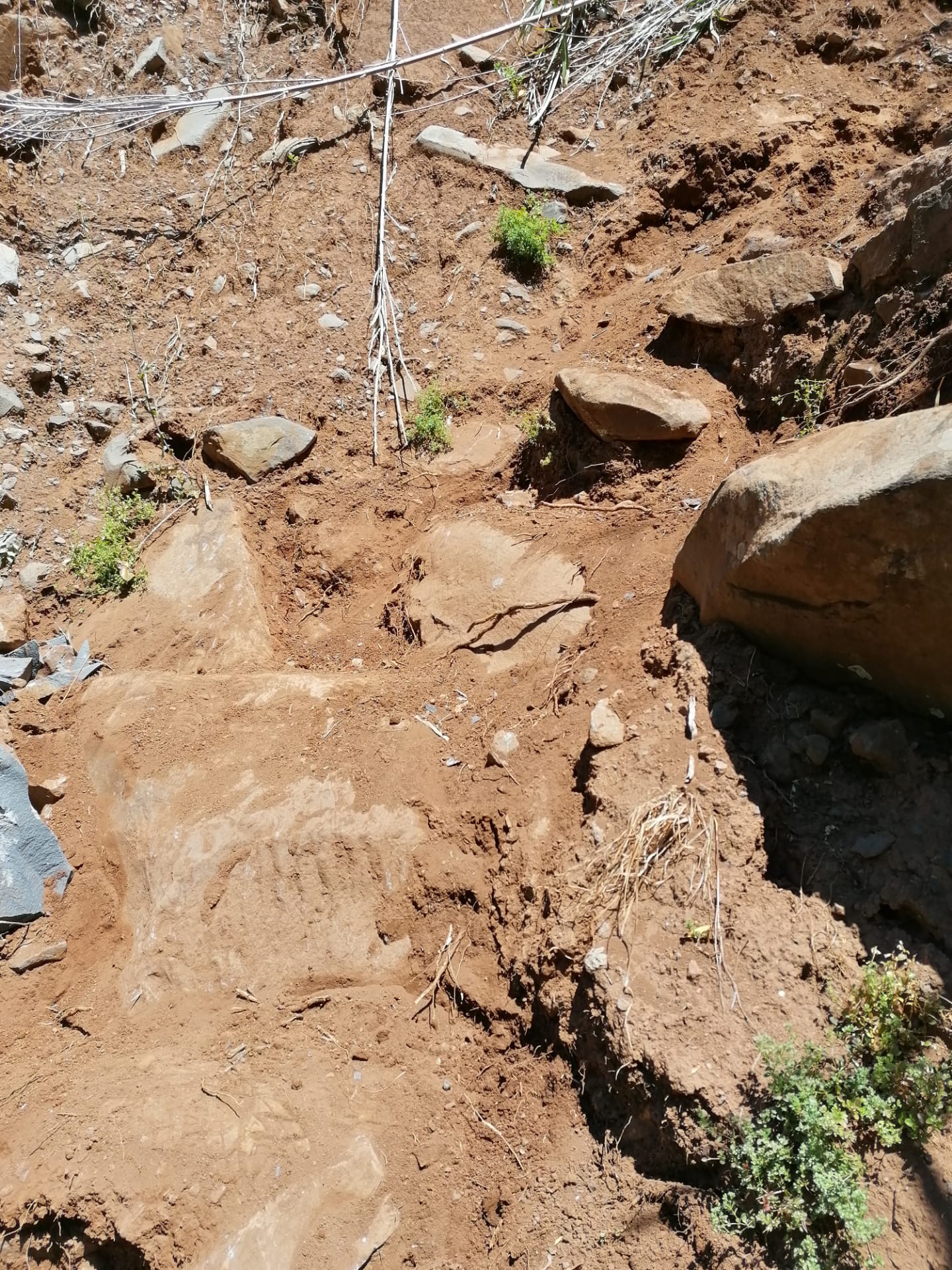 recuperacao-de-um-troco-da-vereda-da-ladeira