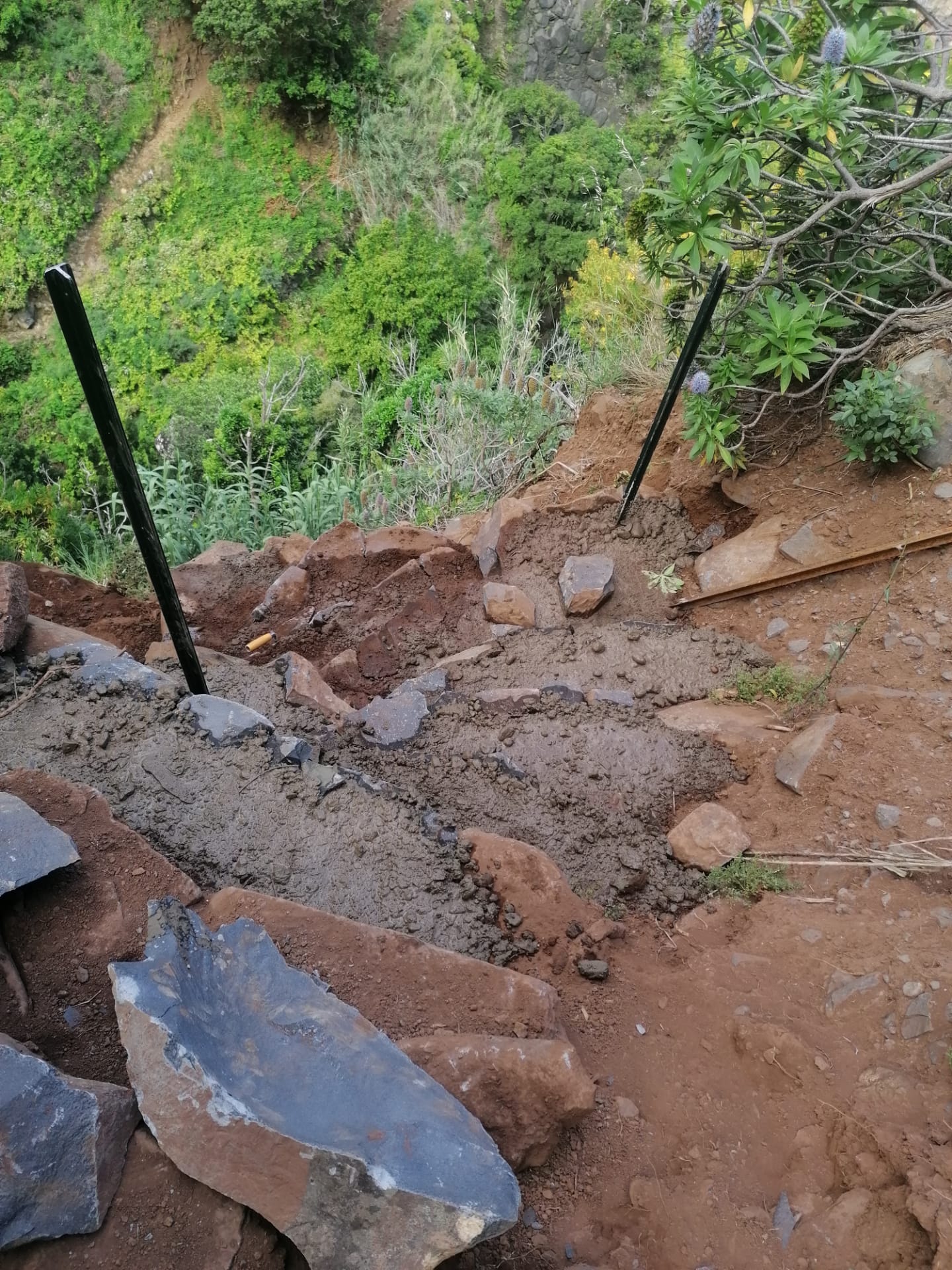 recuperacao-de-um-troco-da-vereda-da-ladeira