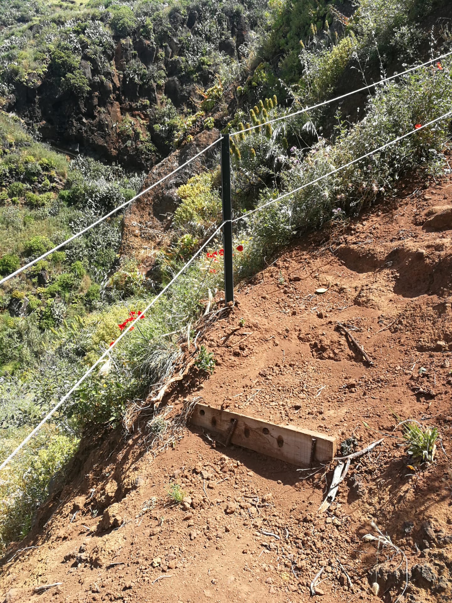 recuperacao-de-um-troco-da-vereda-da-ladeira