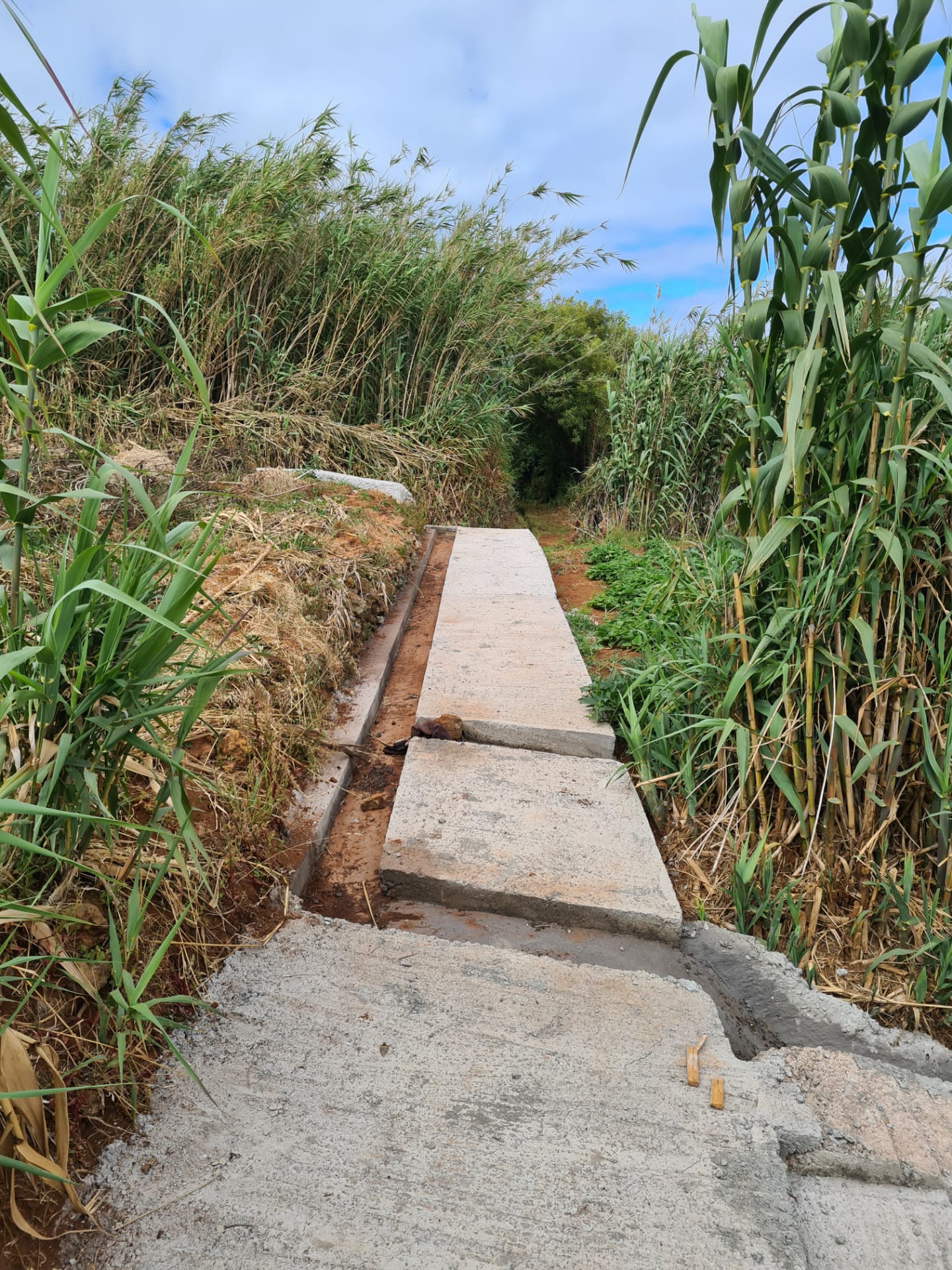 recuperacao-de-vereda-da-faja-do-curral-ao-sitio-dos-pombais