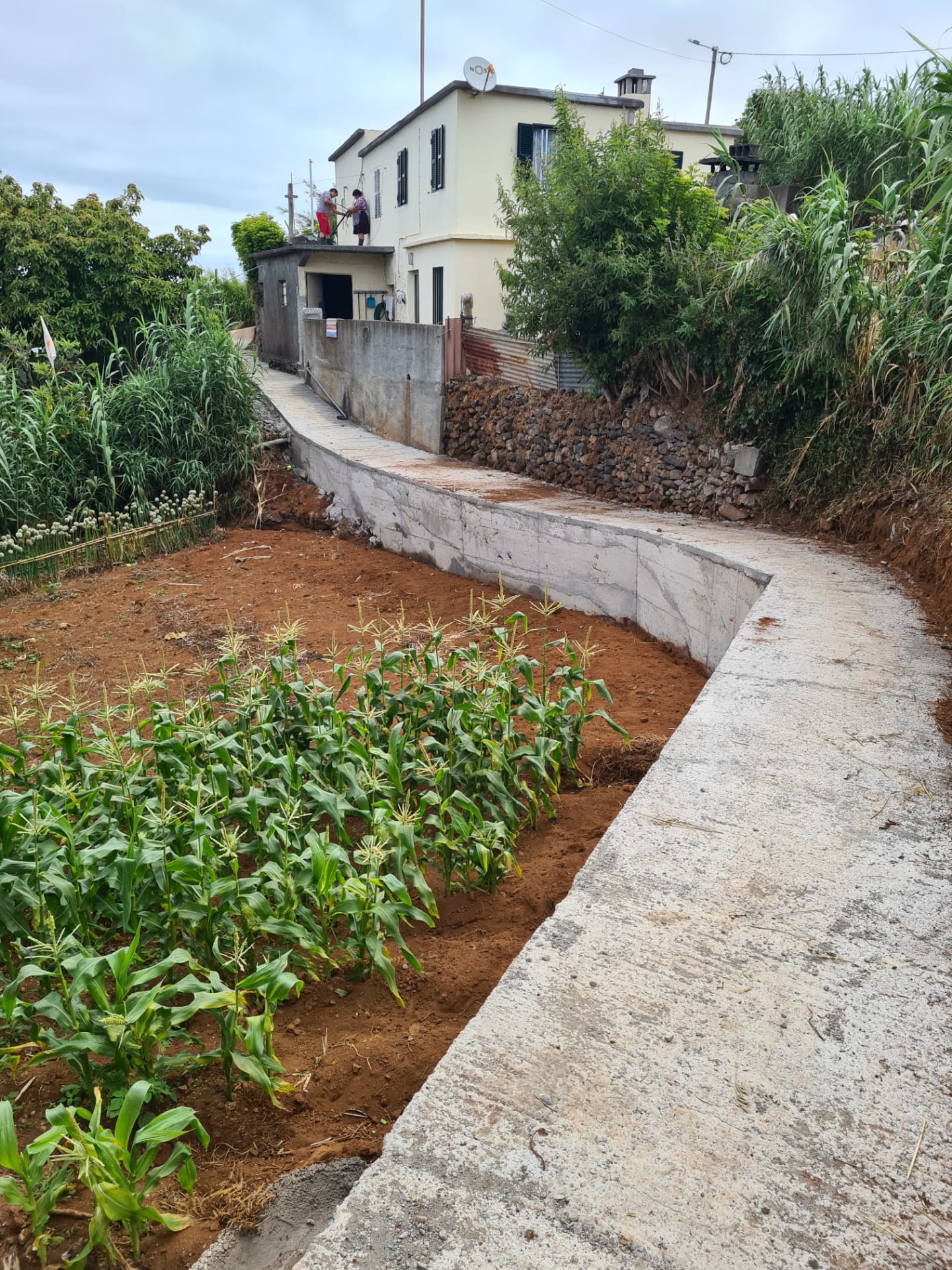 Recuperação de Vereda da Fajã do Curral ao Sítio dos Pombais